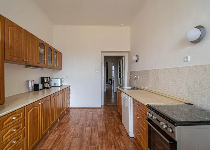 Super Billiard And Darts Big Apartment